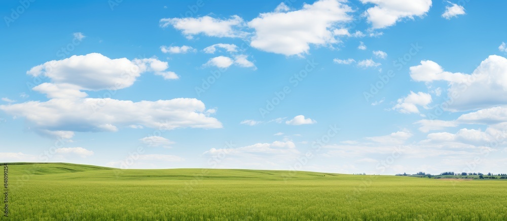 Sky clouds over the fields Field on a background of the blue sky. Creative banner. Copyspace image