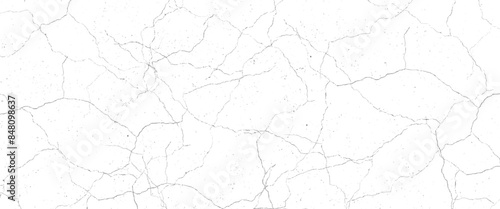 Vector grunge cracked texture Transparent background.