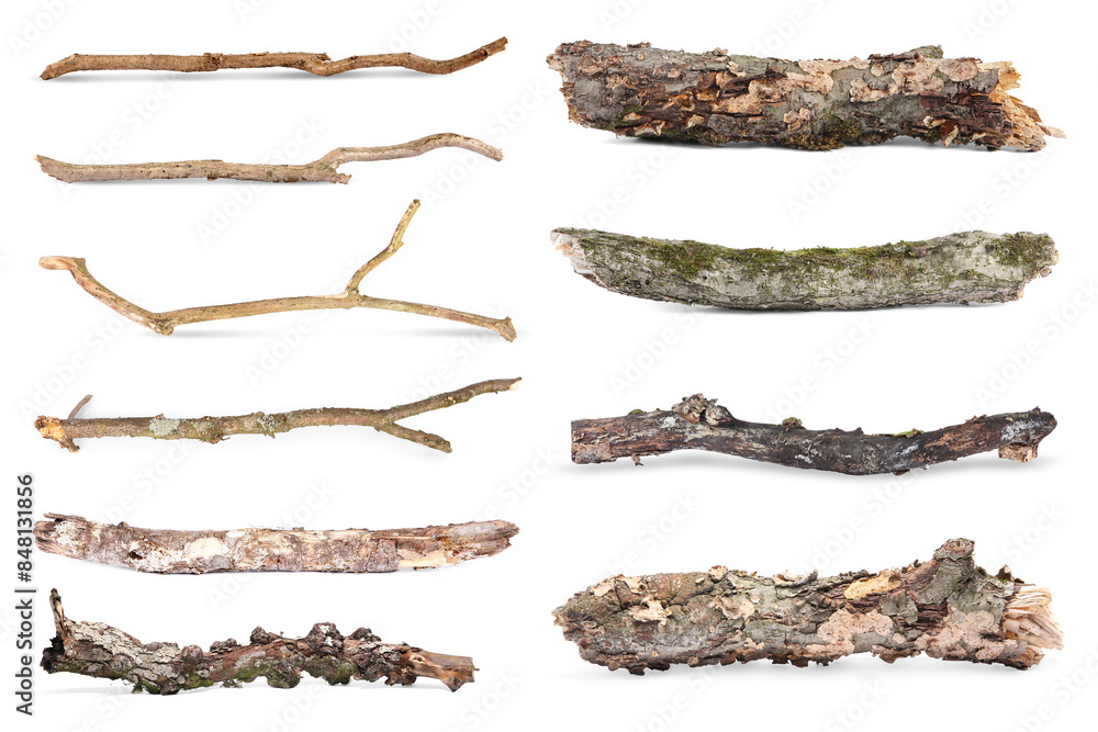 Many dry tree branches isolated on white, set Many dry tree branches isolated on white, set