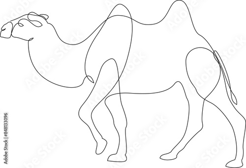 Continuous line drawing of camel. One line of arabian camel animal. Vector illustration.