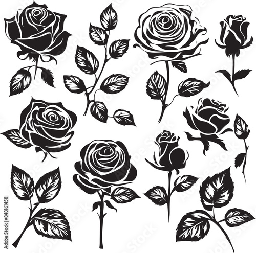  Set of decorative rose with leaves. Flower silhoutte. Vector illustration  Cute flower illustration in hand drawn style. Roses hand drawn set. Black line rose flowers  Icon collection. Vector doodle 