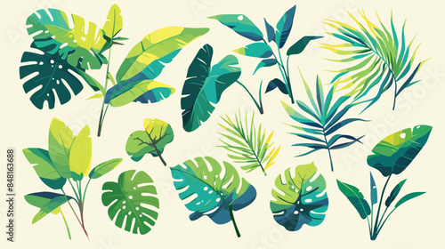 Tropical leaves clipart isolated vector illustratio