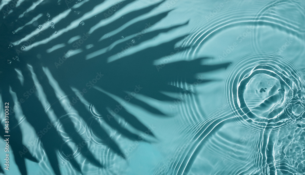 Top view of tropical leaf shadow on water surface. Transparent Overlay of a Palm Leaf Silhouette, png