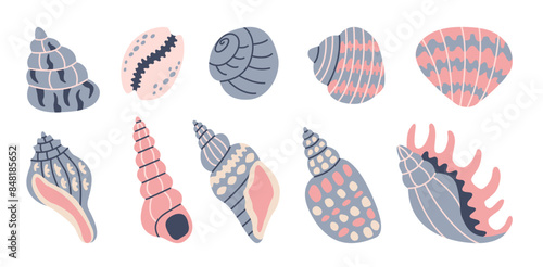 Set of seashells on white background. Ocean exotic underwater seashell conch aquatic mollusk, sea spiral snail, marine starfish. Hello, summer. Vacation. Undersea collection, tropical beach.