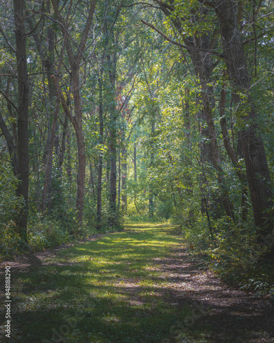 Trail through Forest Goose Island Mississippi River Wisconsin