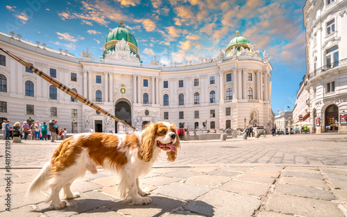 Photography Alte Hofburg, Wien, Österreich