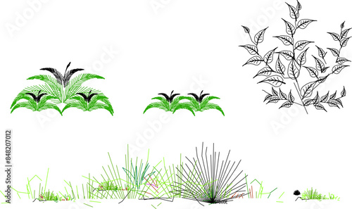 Sketsa ilustrasi siluet vektor desain detail tanaman pohon palem artistik dengan banyak daun dan ranting