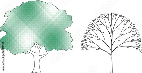 Sketsa ilustrasi siluet vektor desain detail tanaman pohon palem artistik dengan banyak daun dan ranting photo