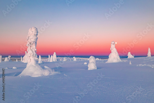 landscape with snow photo