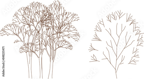 Vector silhouette illustration sketch detailed artistic tree plant design with lots of leaves and twigs for completeness of the image