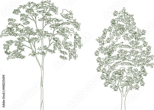 Sketsa ilustrasi siluet vektor, desain tanaman pohon artistik mendetail untuk kelengkapan gambar 