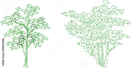 Vector silhouette illustration sketch detailed artistic tree plant design with lots of leaves for completeness of the image