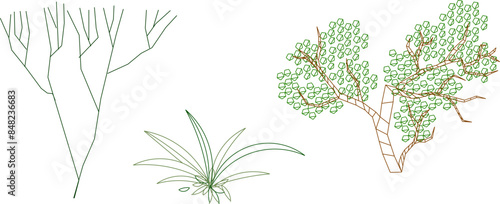 Sketsa ilustrasi siluet vektor desain detail tanaman pohon palem artistik dengan banyak daun dan ranting