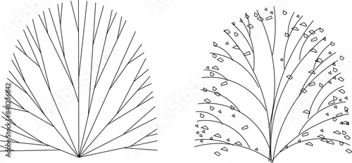 Vector silhouette illustration sketch detailed design of an artistic garden ornamental plant with lots of leaves and twigs