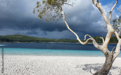 lake Mckenzie, K'gari