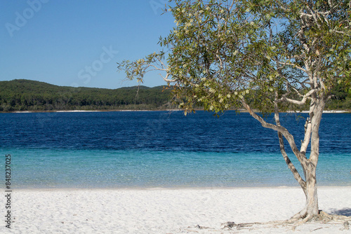 White sands and clear water, Lake Mckenzie, K'gari