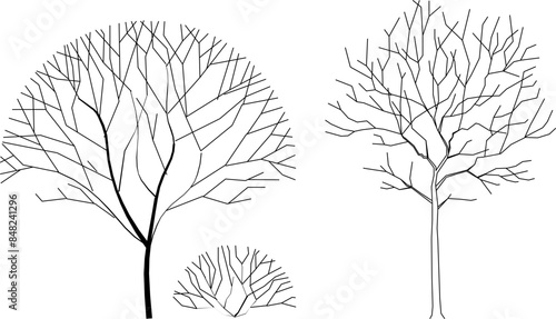 Vector silhouette illustration sketch, detailed artistic tree plant design for completeness of the image