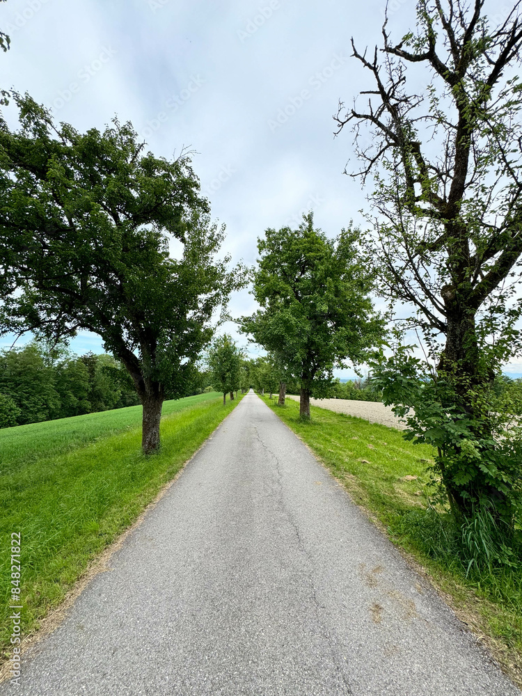 Fototapeta premium Semmering, Austria, pueblos Europeos.