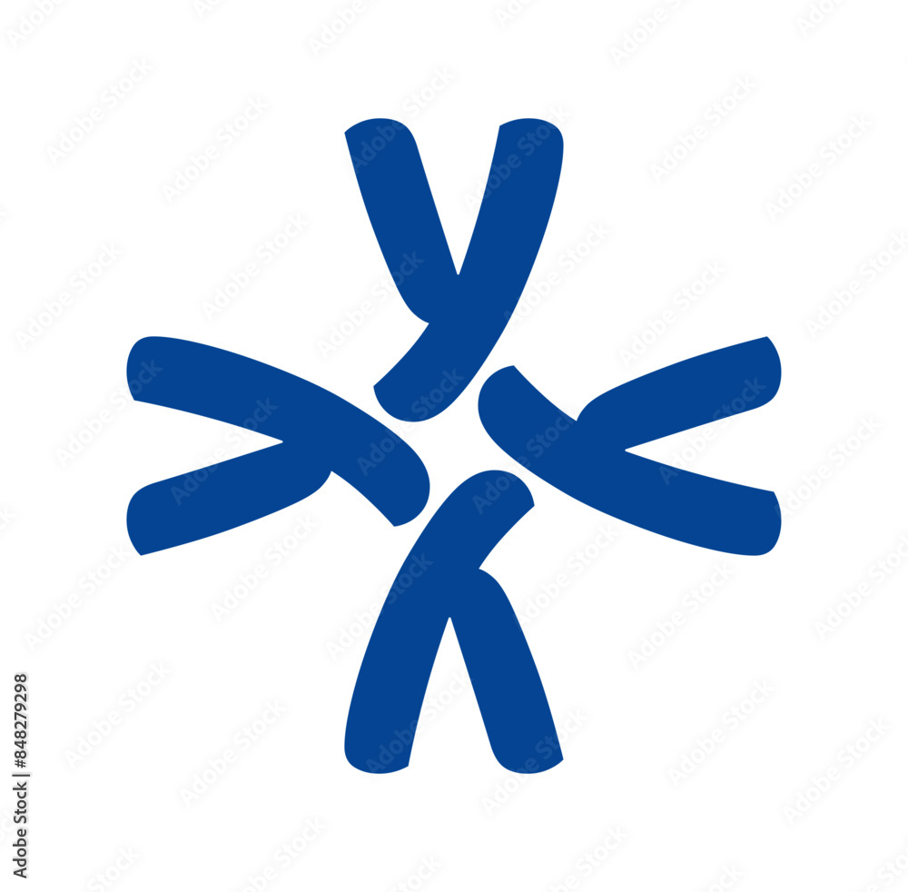 y company monogram y company monogram