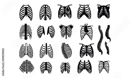 Rib cage Vector bundle, Clipart, Silhouette, Vector, icons, illustration, design.