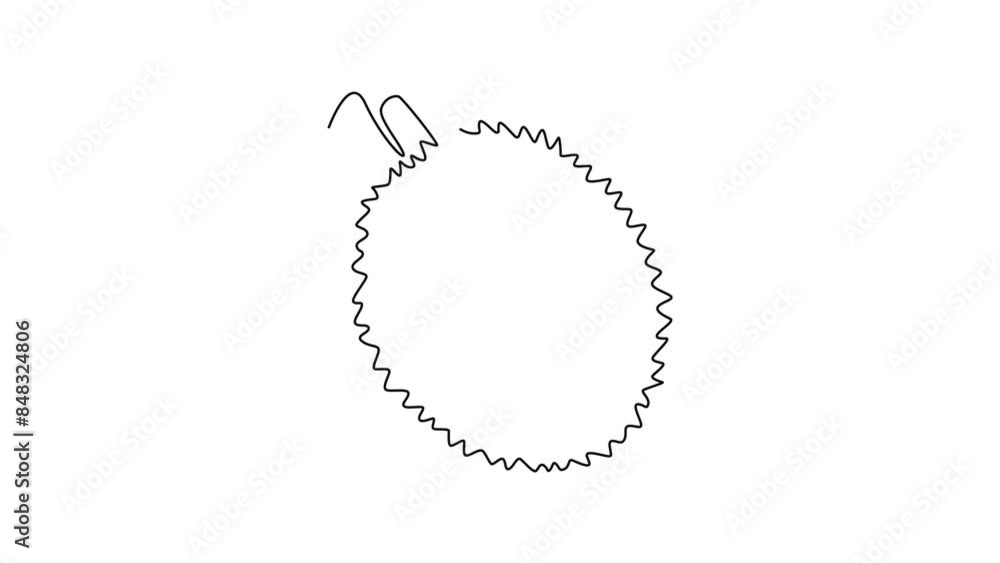 Animated self drawing of continuous line draw whole healthy sweet organic durian for orchard logo identity. Fresh exotic thai fruitage concept for fruit garden icon. Full length single line animation Animated self drawing of continuous line draw whole healthy sweet organic durian for orchard logo identity. Fresh exotic thai fruitage concept for fruit garden icon. Full length single line animation