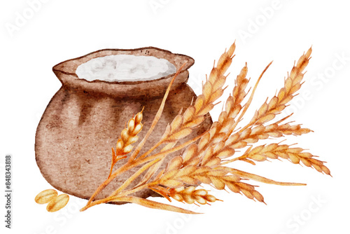 Bag of wheat flour, grains and bunch of spikes, vector watercolor cut out from background photo