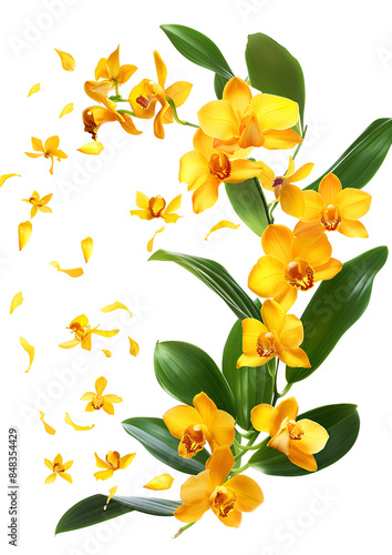 Fresh flying yellow orchids and leaves isolated on white