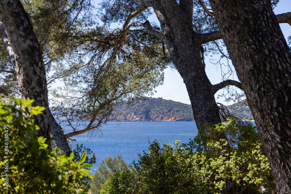 Archipelago off Hyeres in the Mediterranean Archipelago off Hyeres in the Mediterranean