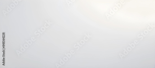neutral white background texture