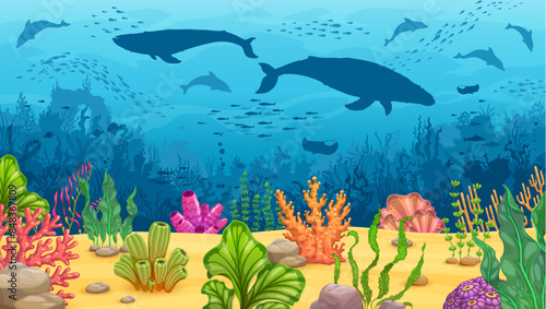 Photography Underwater game landscape with whale silhouettes, corals and algae seaweeds, manta, dolphins, fish shoal shadows