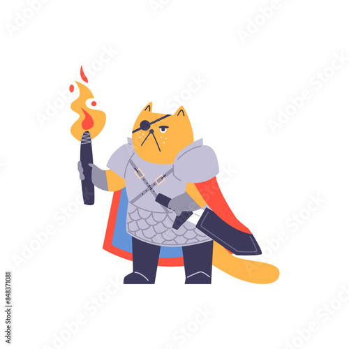 Vector illustration warrior cat with a eyepatch in armor with a torch and a sword