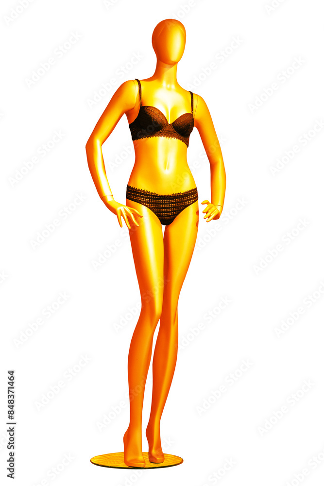 Underwear woman isolated. Close-up of luxurious elegant sexy black lingerie on a full-lengh mannequin isolated on a white background. Underwear fashion. Underwear woman isolated. Close-up of luxurious elegant sexy black lingerie on a full-lengh mannequin isolated on a white background. Underwear fashion.