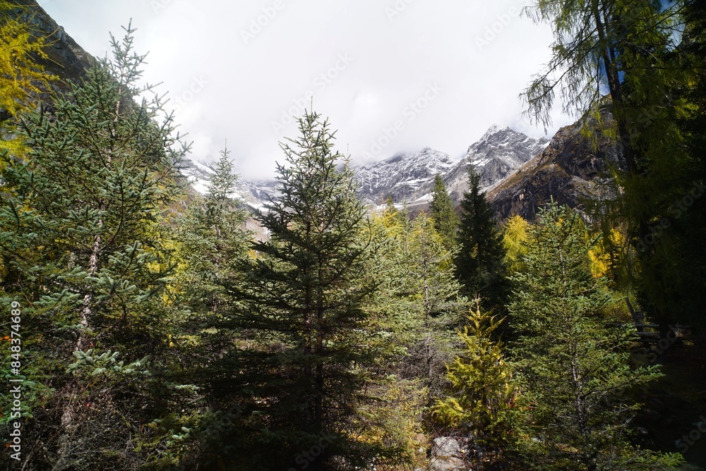 The Autumn in Siguniang Mountain at west of the capital city of Chengdu in Xiaojin country ,Sichuan ,China The Autumn in Siguniang Mountain at west of the capital city of Chengdu in Xiaojin country ,Sichuan ,China