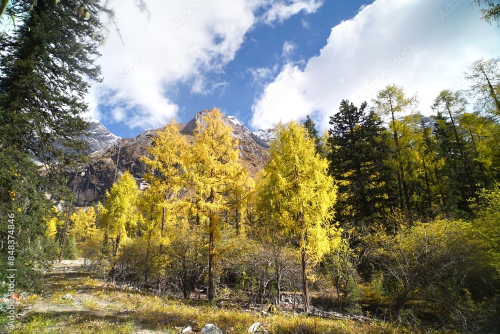 The Autumn in Siguniang Mountain at west of the capital city of Chengdu in Xiaojin country ,Sichuan ,China The Autumn in Siguniang Mountain at west of the capital city of Chengdu in Xiaojin country ,Sichuan ,China