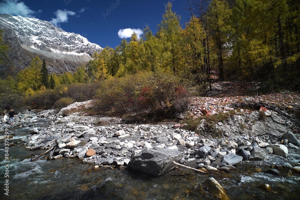 The Autumn in Siguniang Mountain at west of the capital city of Chengdu in Xiaojin country ,Sichuan ,China The Autumn in Siguniang Mountain at west of the capital city of Chengdu in Xiaojin country ,Sichuan ,China