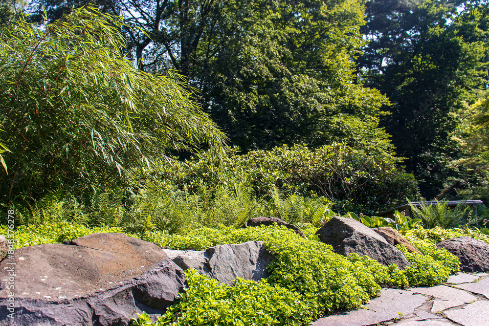 Park in summer time on a sunny day. Summer, park, season. Stone walkway. Trees and bushes irradiated by sunlight. Large stones as decoration. Park in summer time on a sunny day. Summer, park, season. Stone walkway. Trees and bushes irradiated by sunlight. Large stones as decoration.