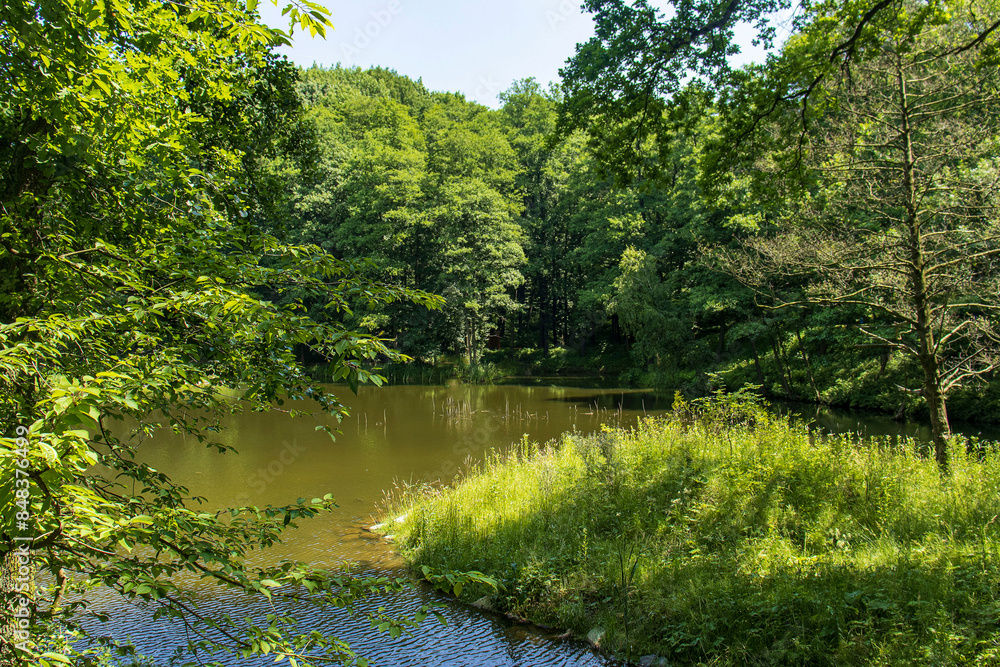 Outdoor lake in nature with grass islands. Lake surrounded by trees. Outdoor artificial lake, sky, trees, nature. Nature in summer season, environment Outdoor lake in nature with grass islands. Lake surrounded by trees. Outdoor artificial lake, sky, trees, nature. Nature in summer season, environment