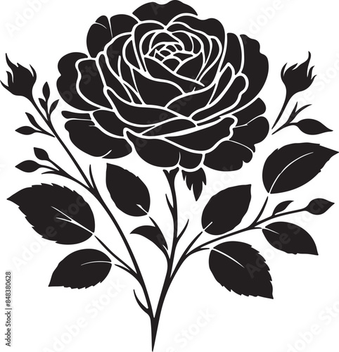 Rose Silhouettes and Illustrations