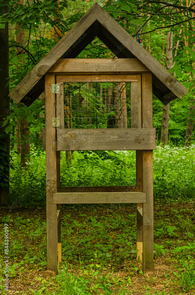 Wooden bird house with bird seeds feed hanging from the tree in the forest. High quality photo Wooden bird house with bird seeds feed hanging from the tree in the forest. High quality photo