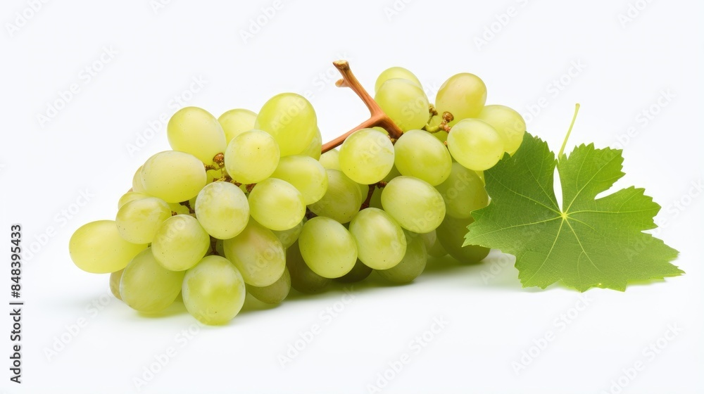 bunch of green grapes bunch of green grapes