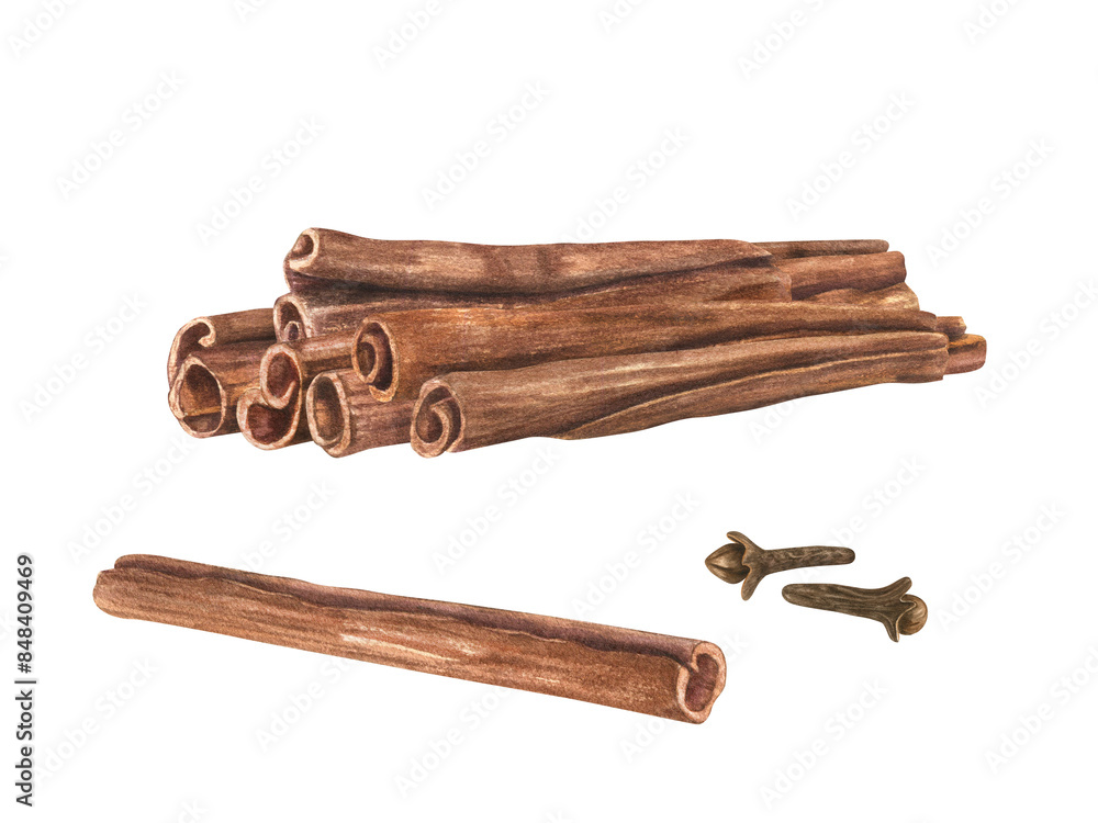 © Masha_tolk_art - Cinnamon Sticks and cloves. Aromatic spice heap. Fragrant textured seasoning for medicine, food, Xmas drink. Watercolor illustration. Organic ingredient for cooking winter recipe, decor