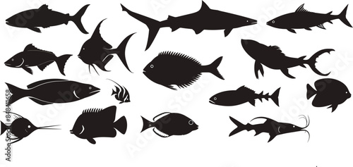 Silhouette Fishes 