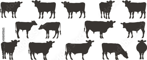 Cow silhouette