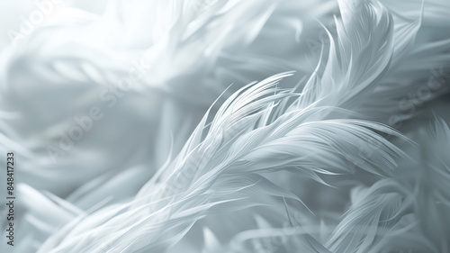 white feathers background, generative ai 