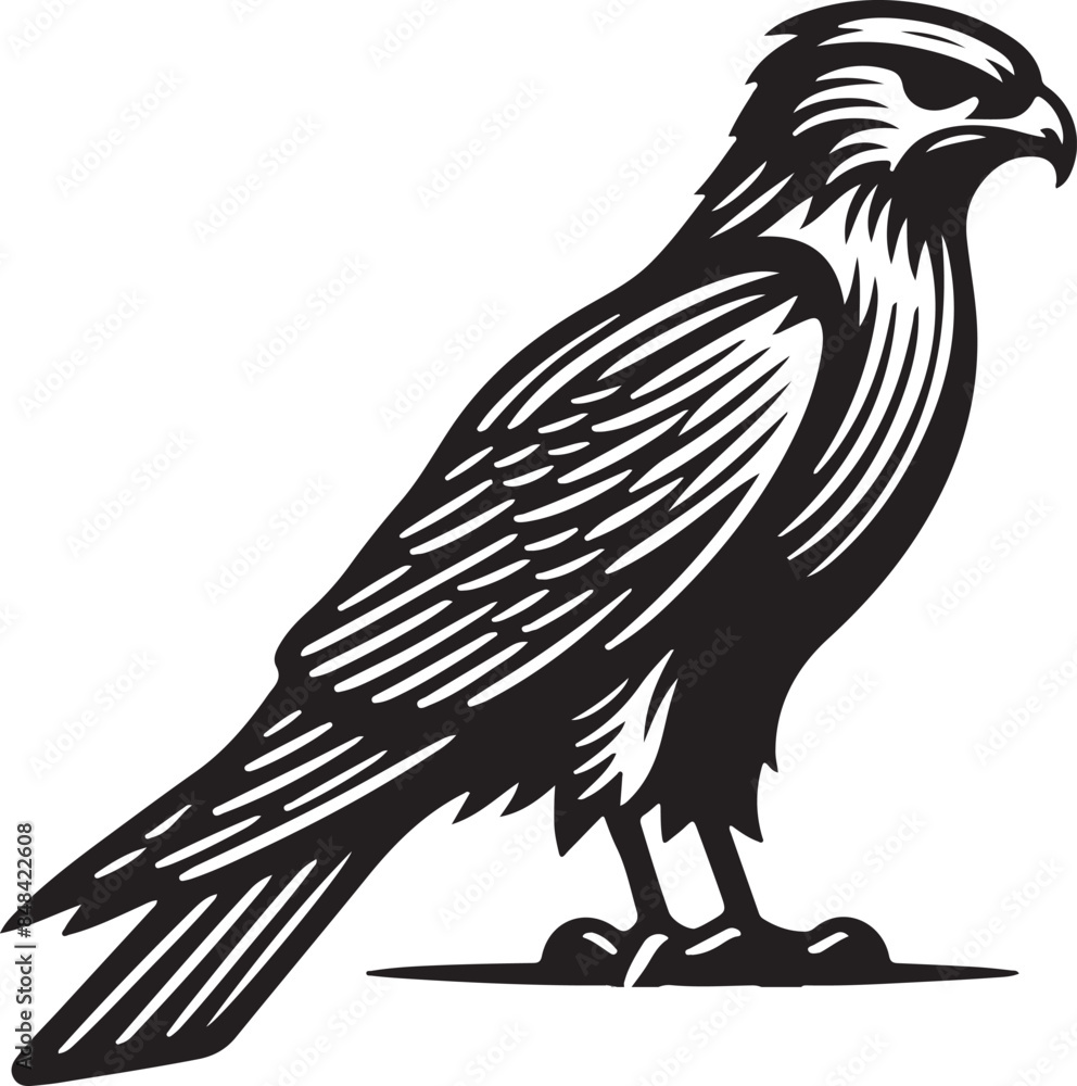 Obraz premium eagle on a white background