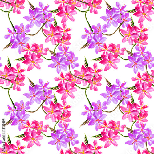 Pattern con bouquet di fiori rosa e viola isolati su sfondo bianco