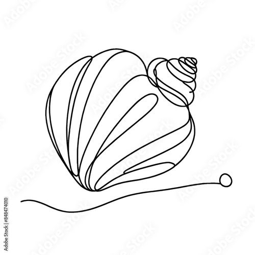 Single line drawing of a seashell, black and white, marine life illustration