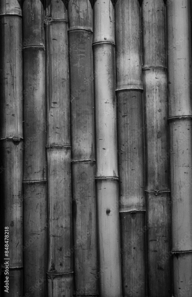 The backgrounds of bamboo trunks The backgrounds of bamboo trunks
