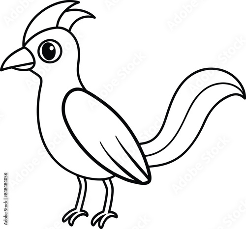 Coloring book or Coloring page for cute kids Bird vector clipart Nature background photo