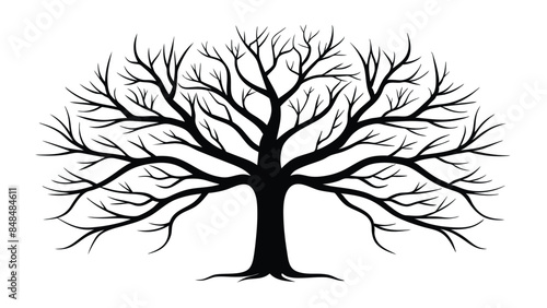 Detailed black and white silhouette of a leafless tree with intricate branching pattern, vector illustration, perfect for designs and decorations